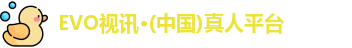 EVO视讯集团